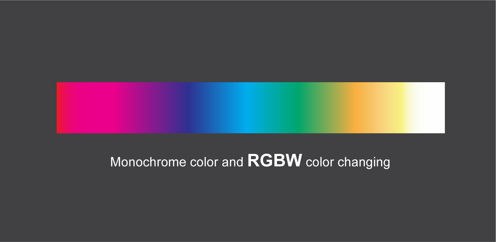 VEGA AC RGBW wall washer-04.jpg