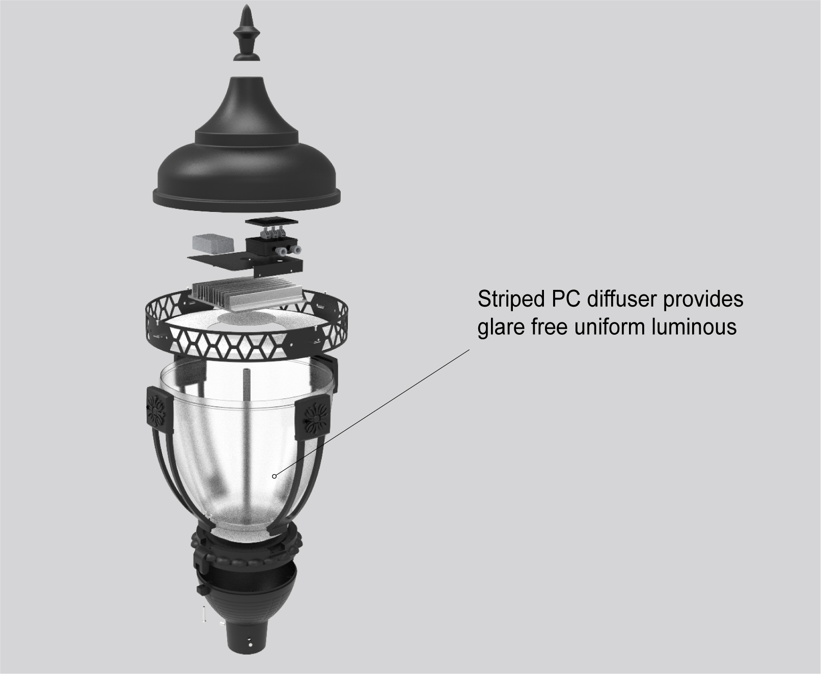Acorn-06.jpg