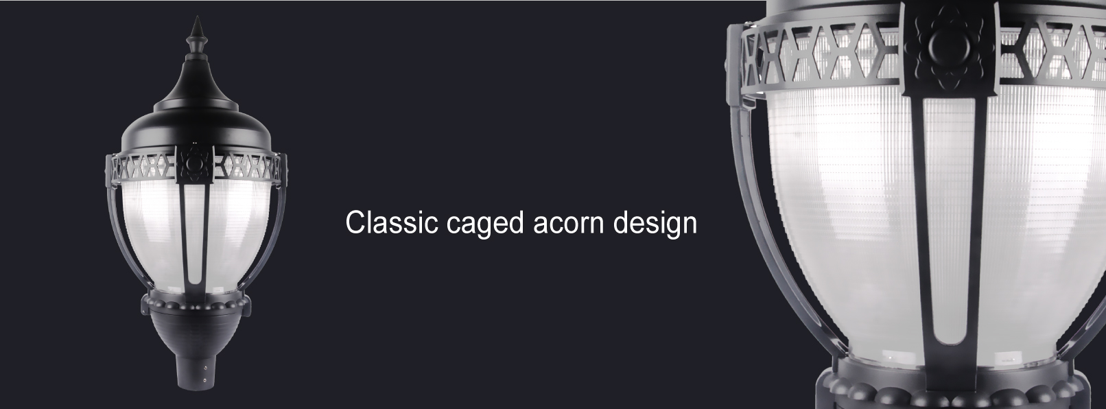 Acorn-05.jpg