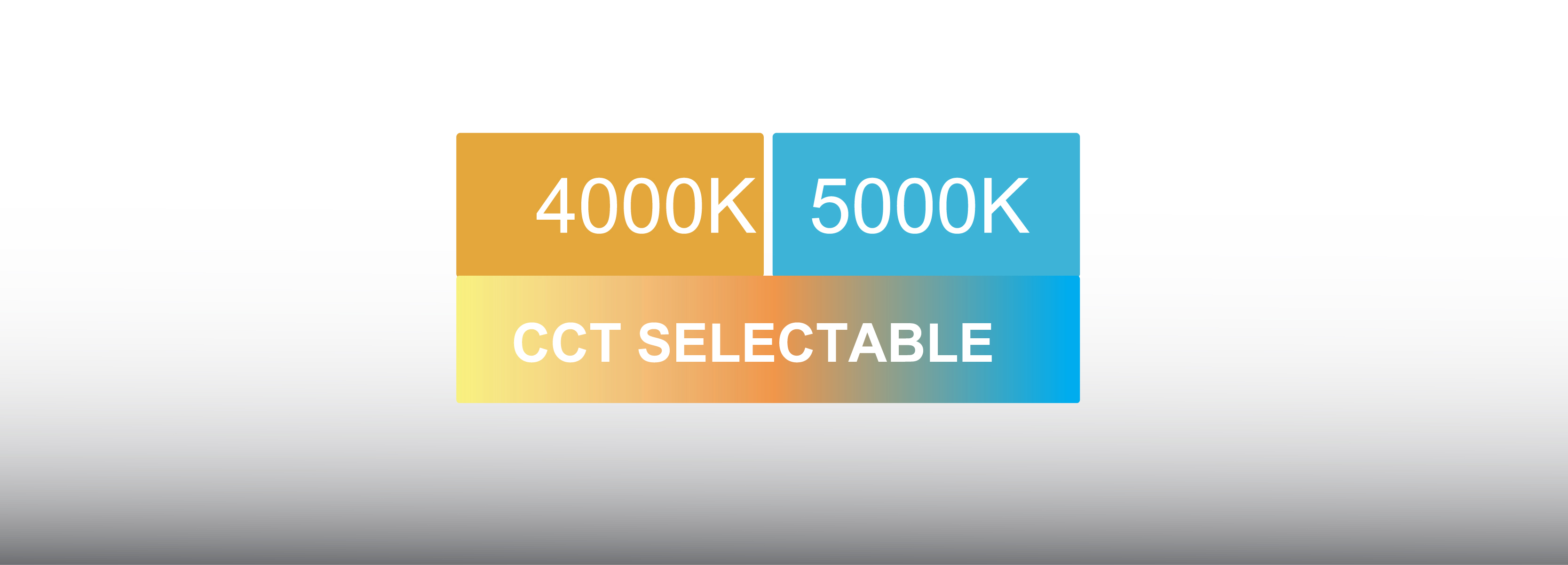 1707294149579954.jpg LHBG4-05.jpg