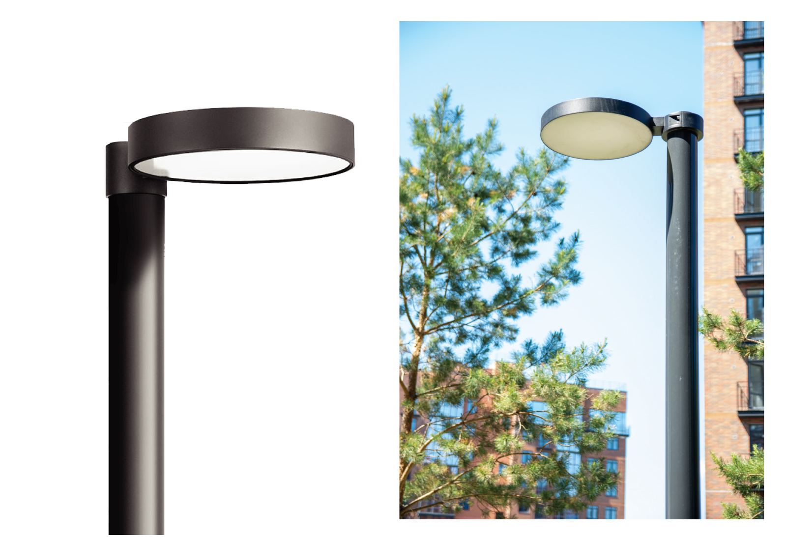 1734942252149372.jpg Venus Post Top241223-04.jpg