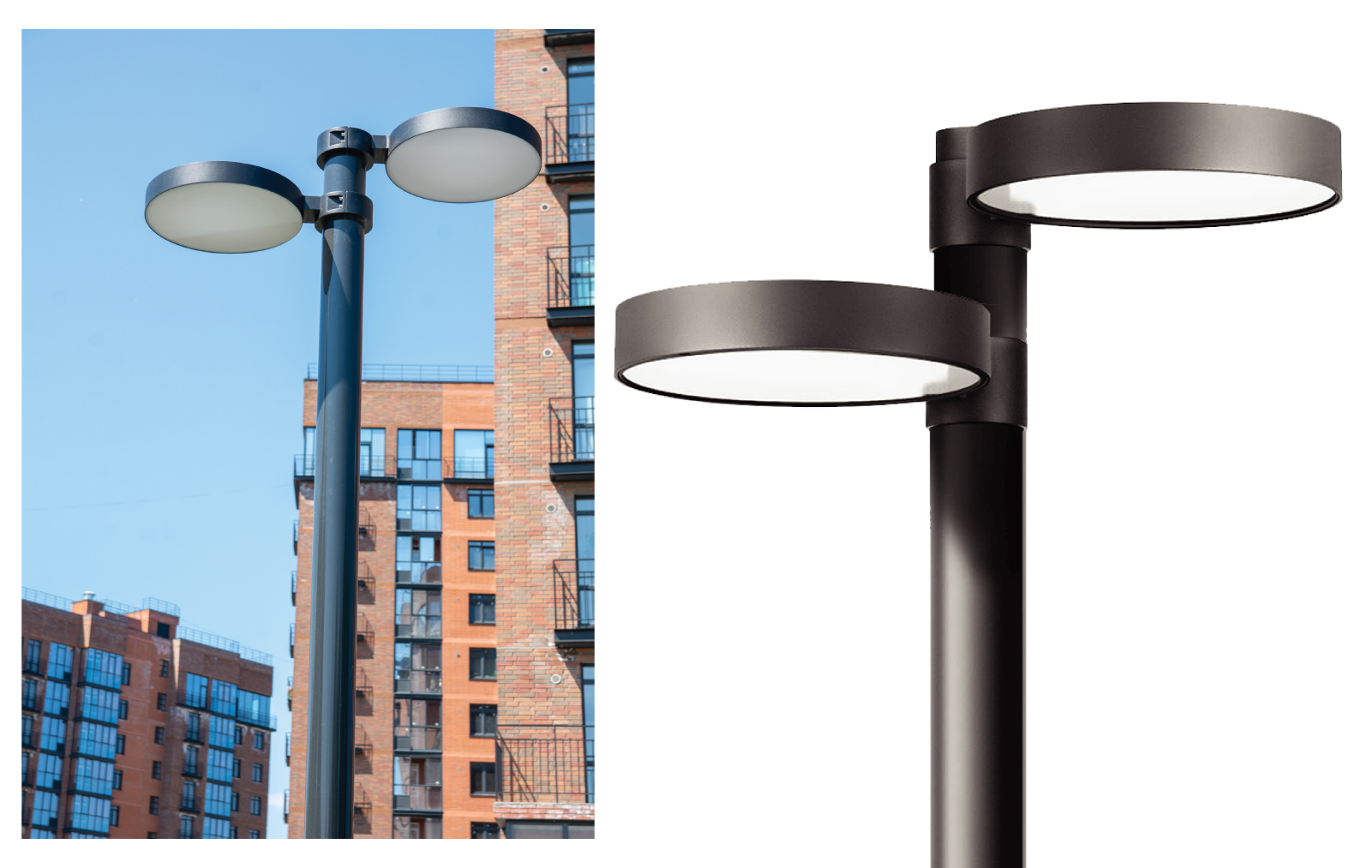 1734942300938019.jpg Venus Post Top241223-05.jpg