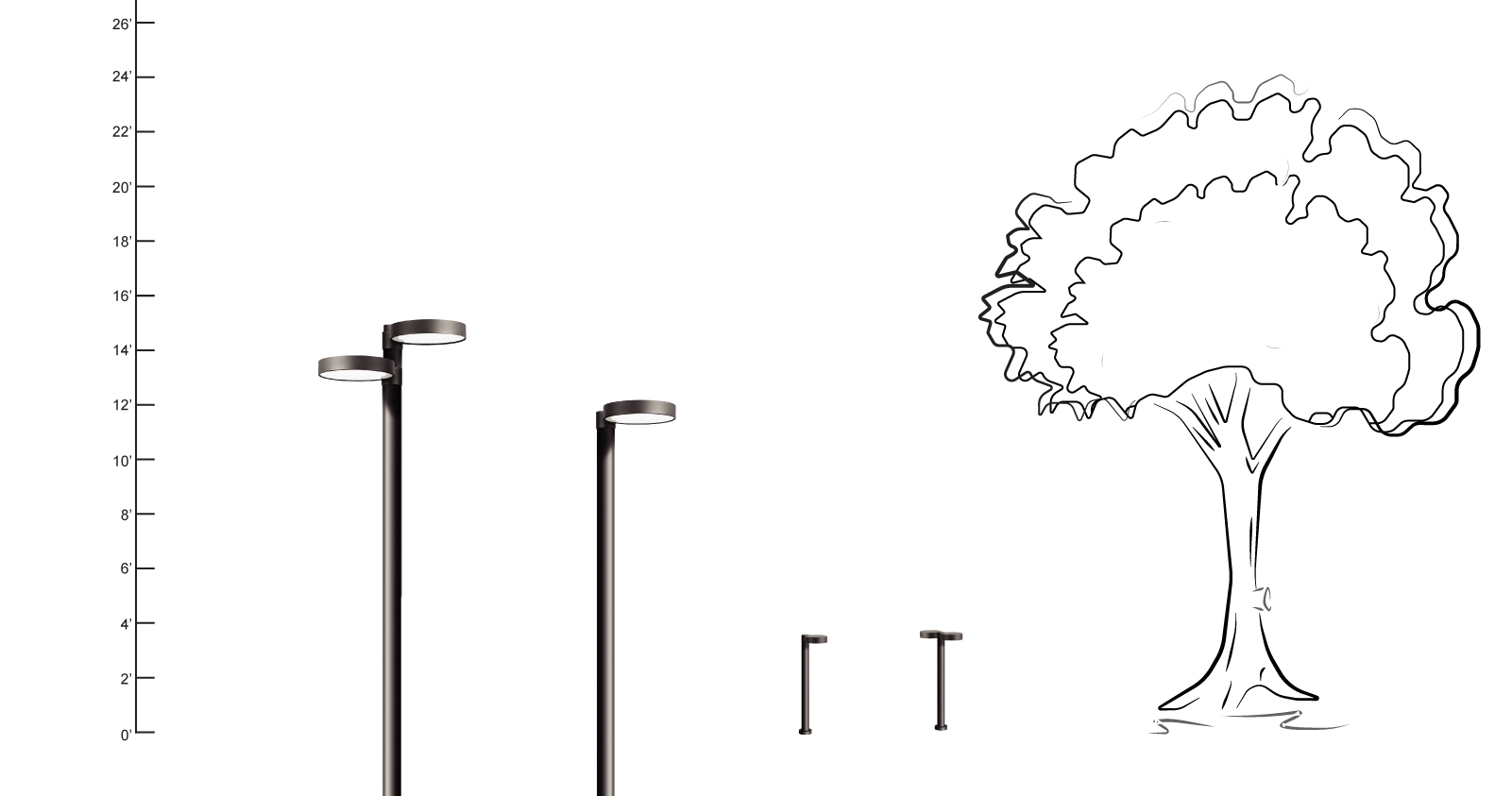 1734942313173016.jpg Venus Post Top241223-07.jpg