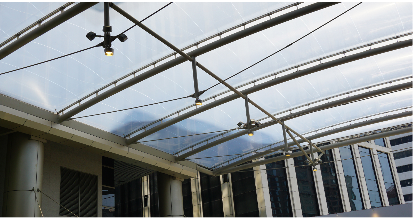 Holly Flood250115-15.jpg