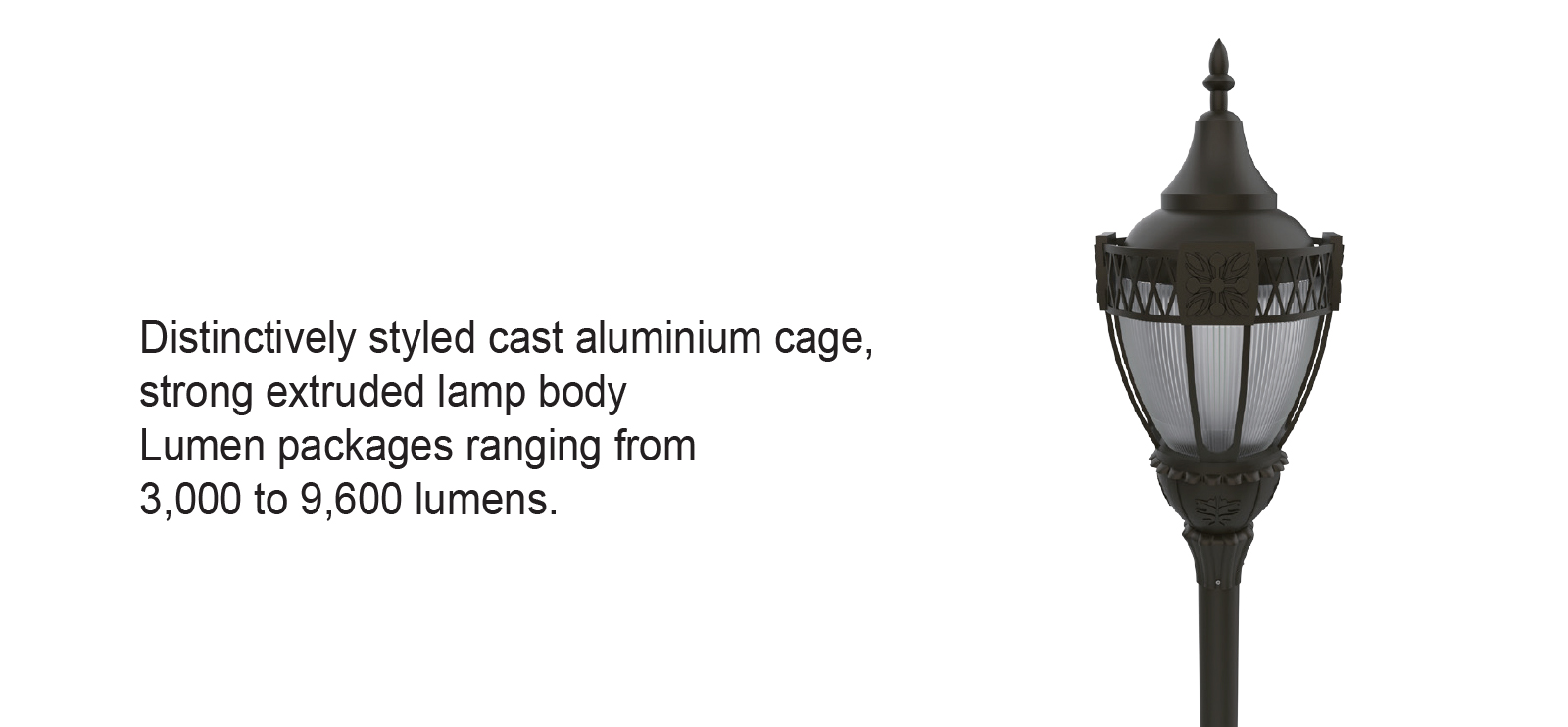 1755502677334694.jpg Acorn PT-02.jpg