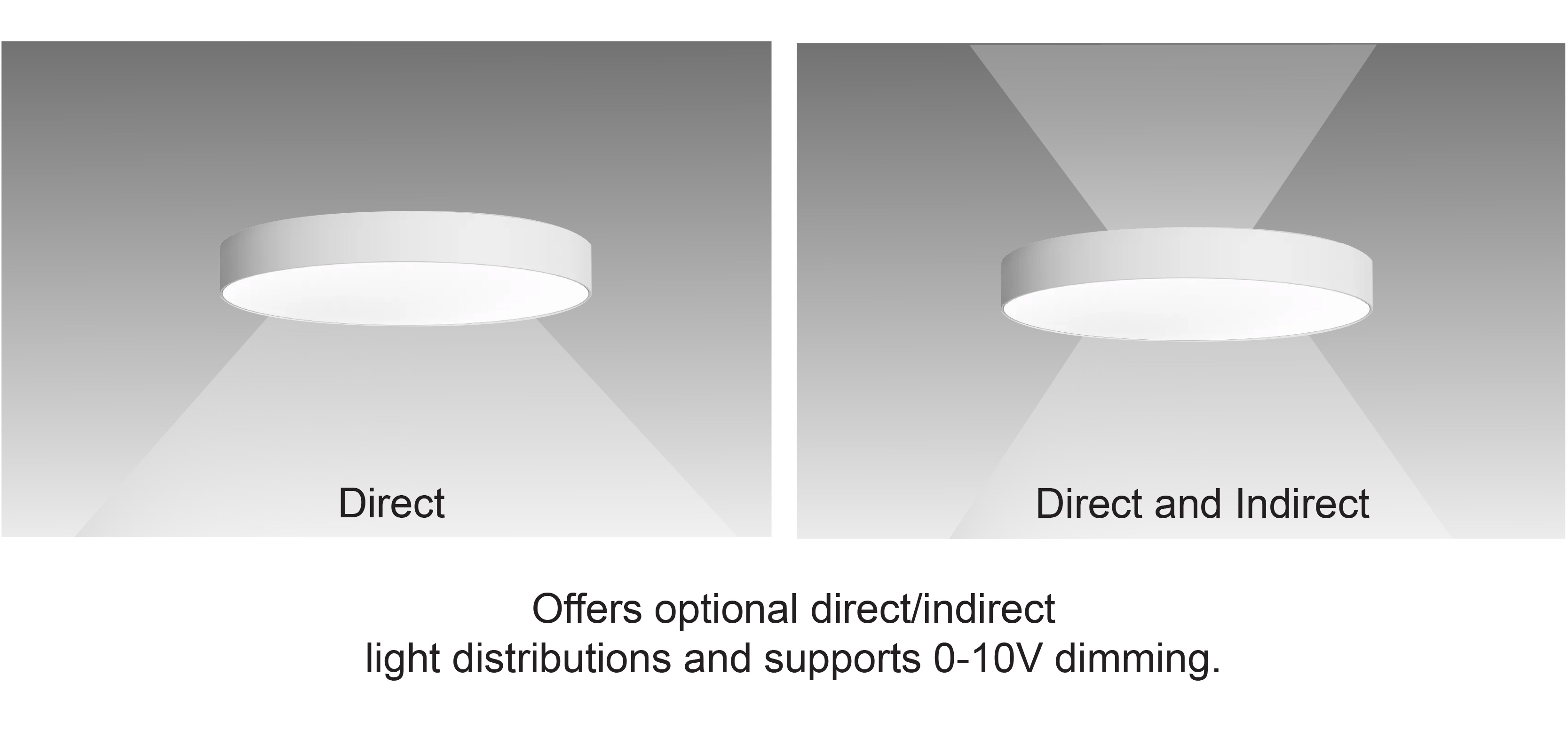 1762243255559993.jpg Prime Focus Round-05.jpg