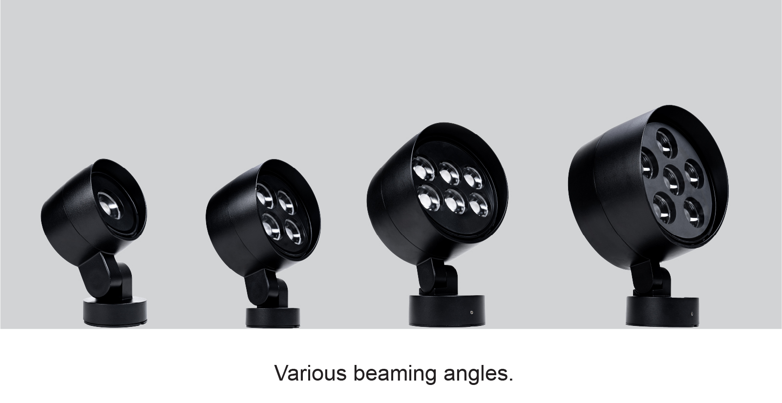 Holly Flood Pole250104-02.jpg